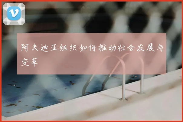 阿夫迪亚组织如何推动社会发展与变革