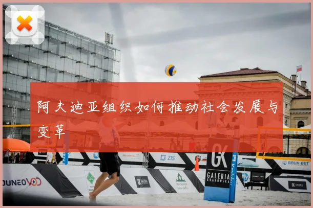 阿夫迪亚组织如何推动社会发展与变革